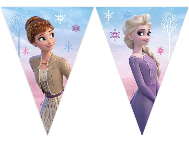 Vėliavėlių girlianda „Frozen 2: Wind Spirit“, 230 cm, 1 vnt.