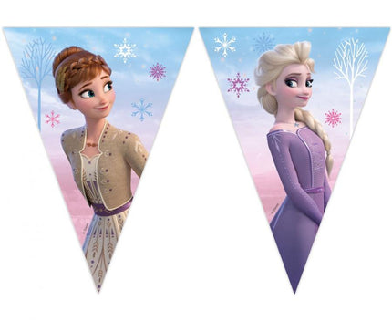 Vėliavėlių girlianda „Frozen 2: Wind Spirit“, 230 cm, 1 vnt.